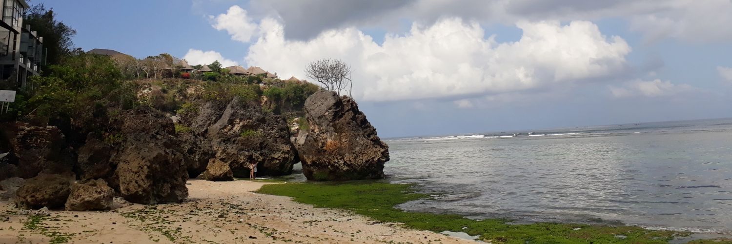 utarinandya's profile banner image