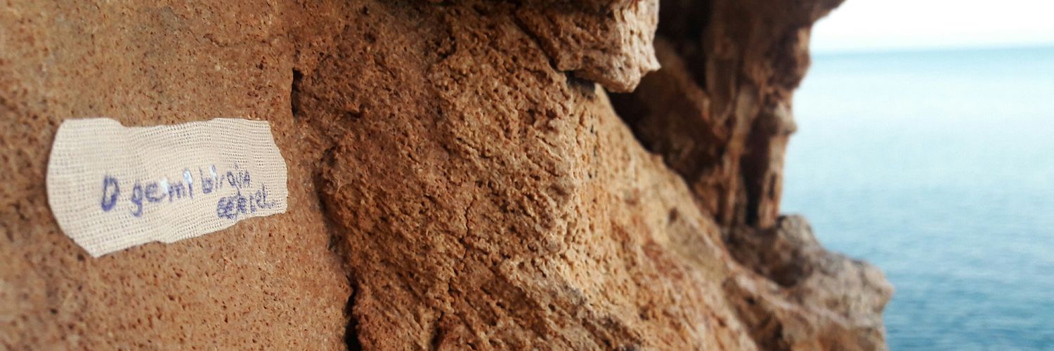 Buket0751's profile banner image
