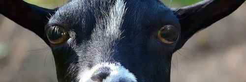 Akila2007's profile banner image