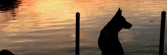 nloot's profile banner image