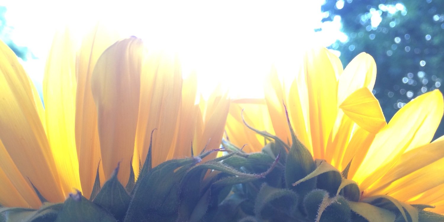 motlette's profile banner image