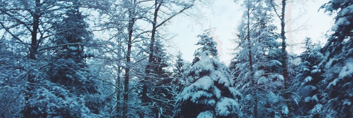 PhilSaar's profile banner image