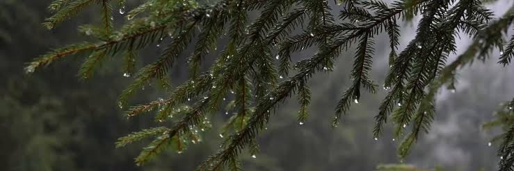 uttjent's profile banner image