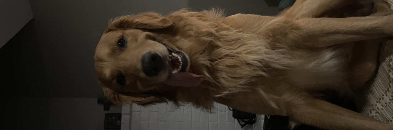 deessii24's profile banner image