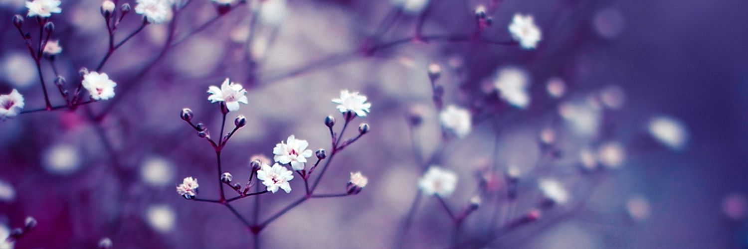 winter___sleep's profile banner image