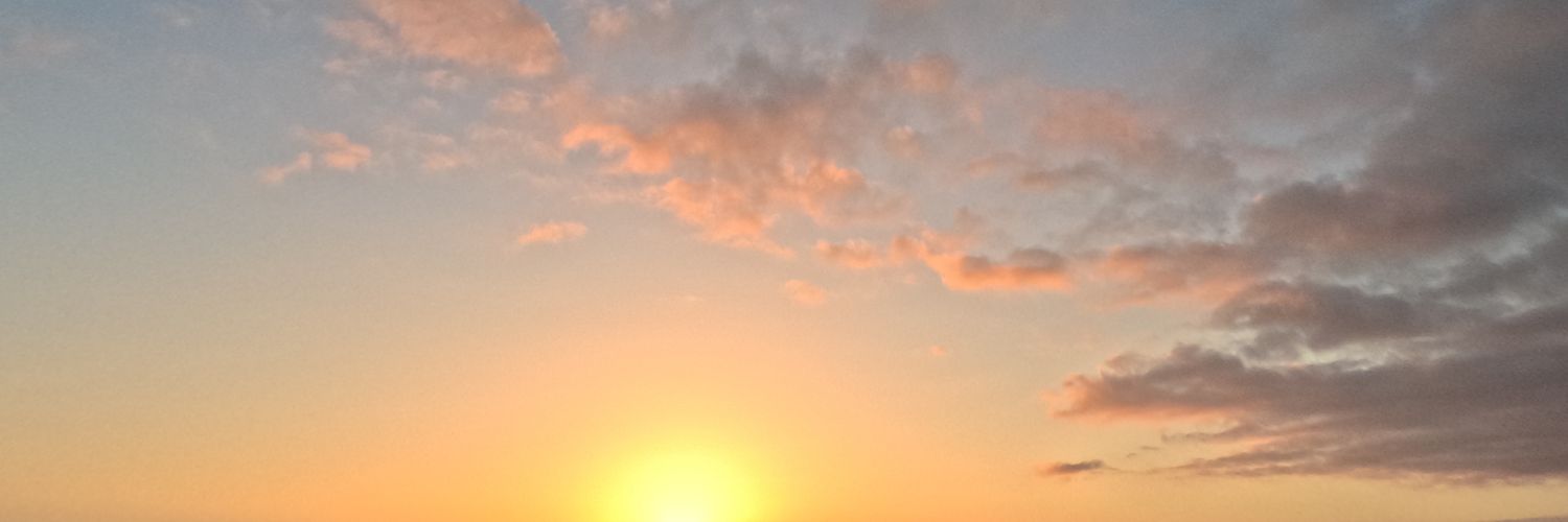 _Liliamb_'s profile banner image