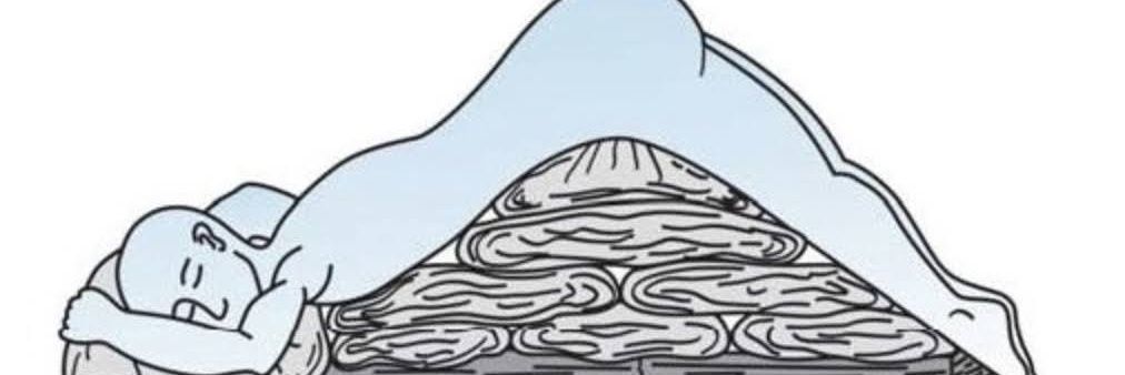 ShyDangler's profile banner image