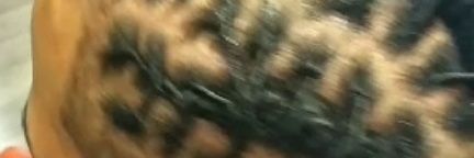 Falkonfan5's profile banner image