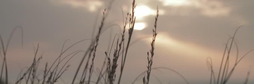 DryColdP's profile banner image