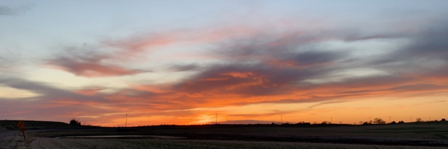 emilytrott_25's profile banner image