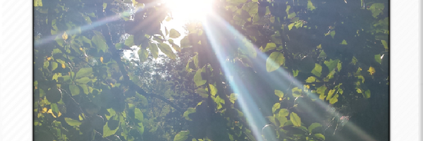 OChiroix Profile Banner