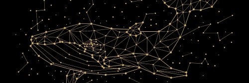 Crypto Whale Society banner