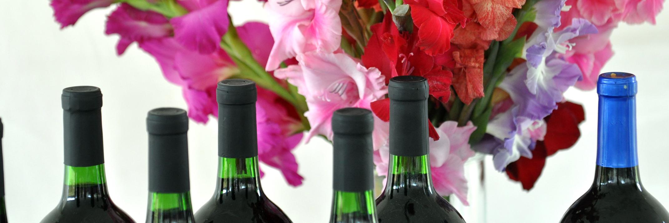 ablacroix04's profile banner image