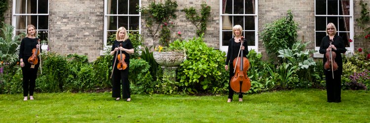 solebaystrings's profile banner image