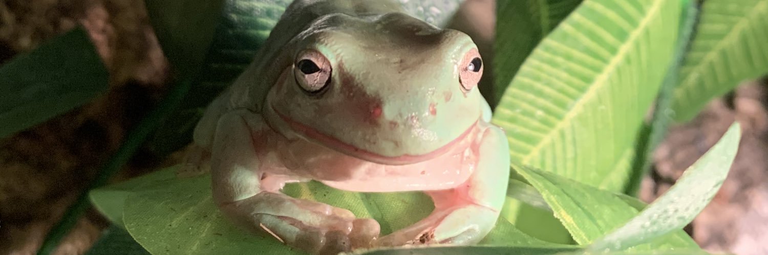 gracepeters_'s profile banner image