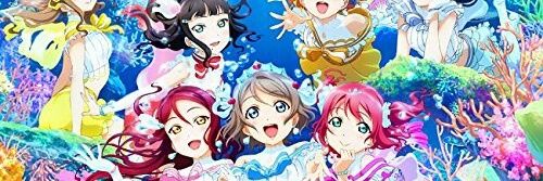 SarKaura's profile banner image
