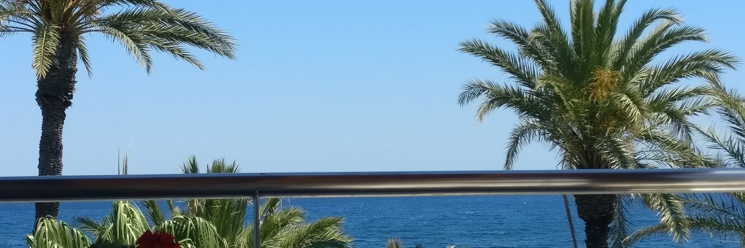 milaneras's profile banner image