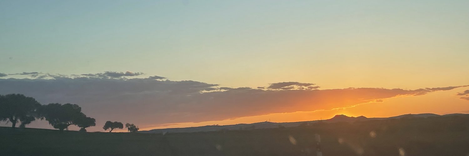 LLD_Luz's profile banner image