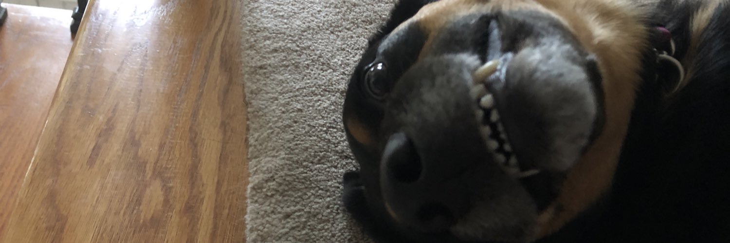 mcnuttles's profile banner image