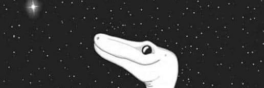 FatCat625's profile banner image