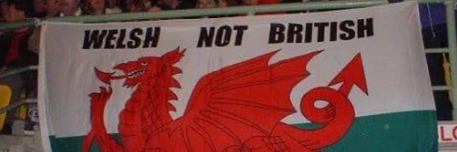 gingelfc1066's profile banner image