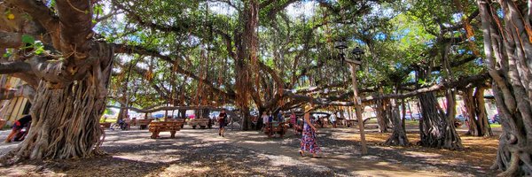 goofyloop Profile Banner