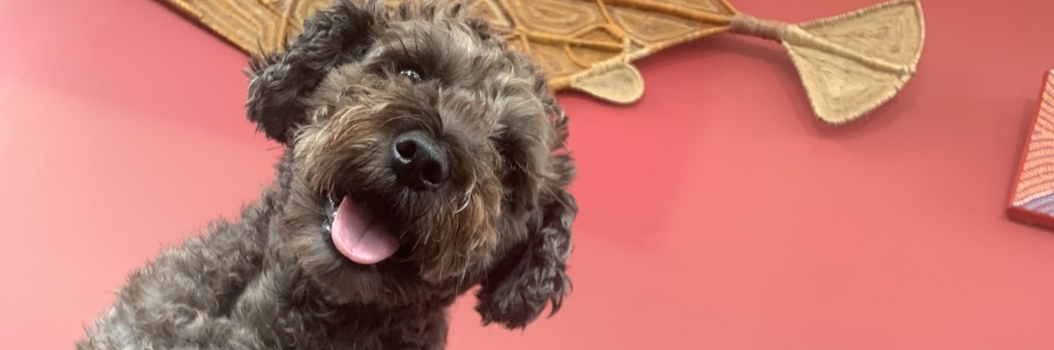 Jane Nicholls banner