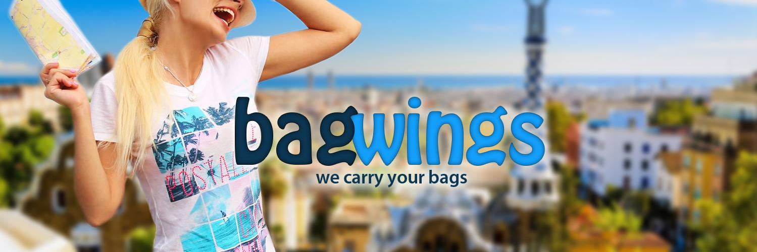 bagwings's profile banner image