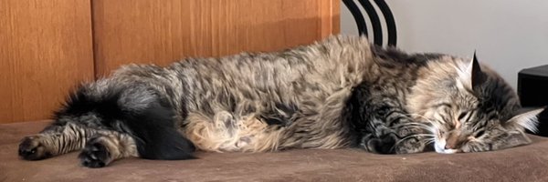 TheWheelAJM Profile Banner