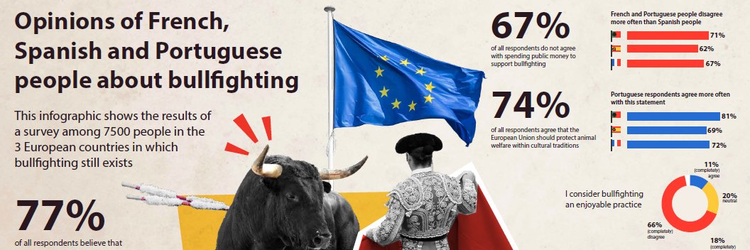 CAS International banner