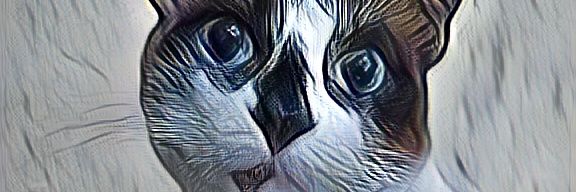 Giacon_everson's profile banner image