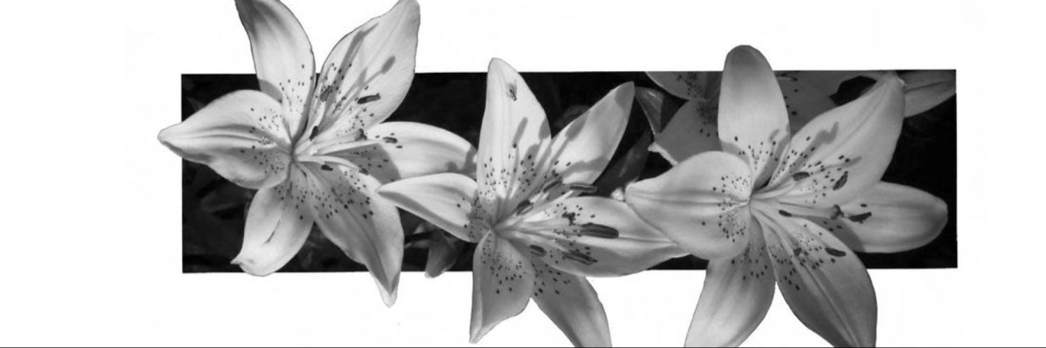 heart_attack65's profile banner image
