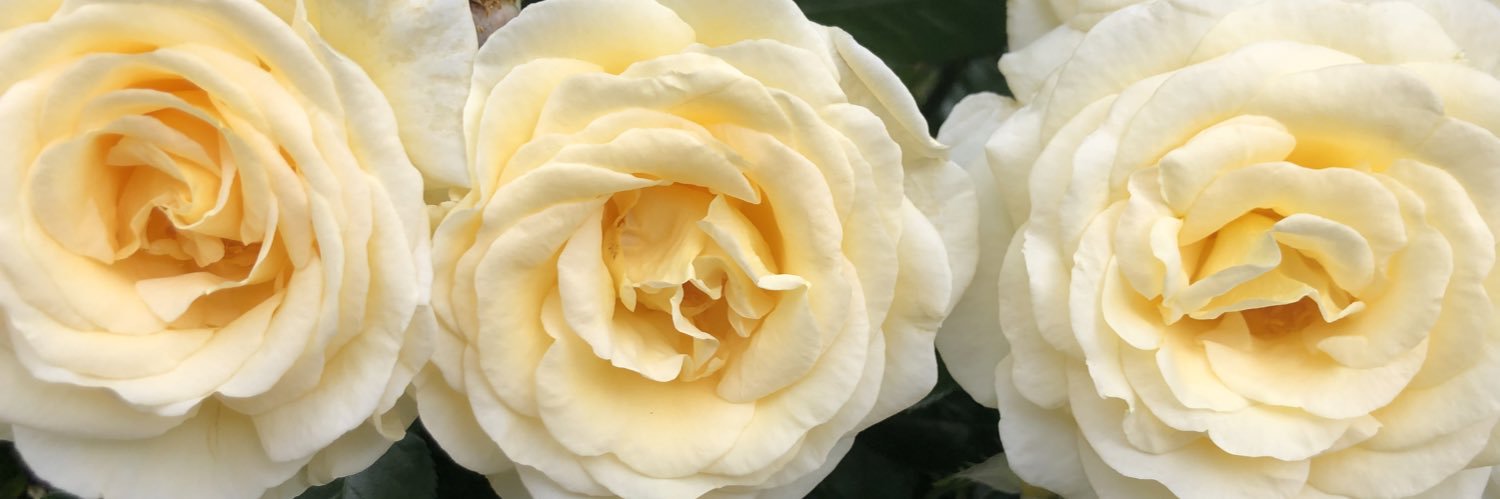 mamakin68's profile banner image