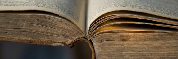 HerLizardness Profile Banner