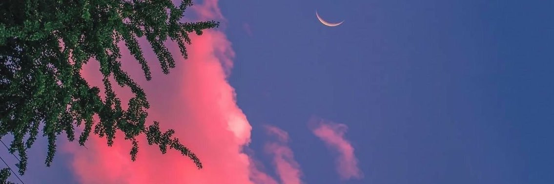 breyanabtw's profile banner image