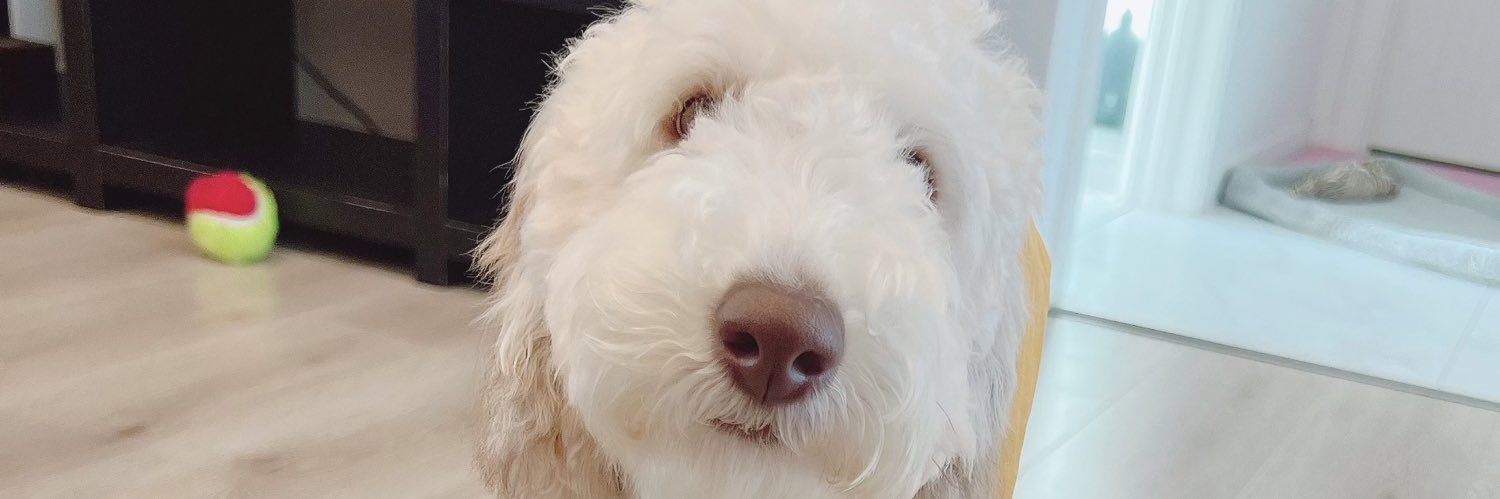 Myckitty's profile banner image
