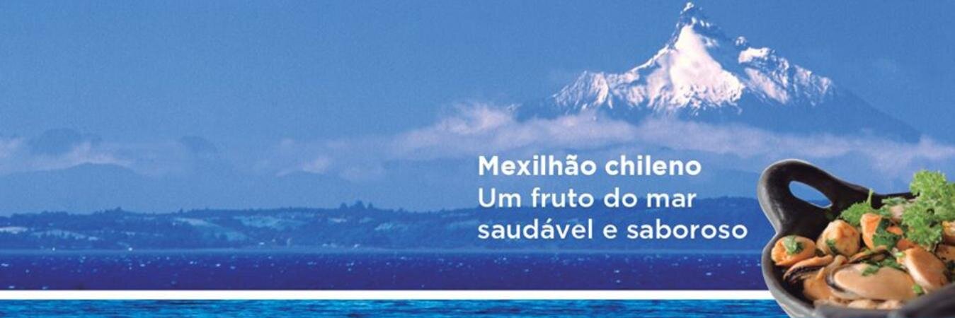 PatagoniaMussel's profile banner image