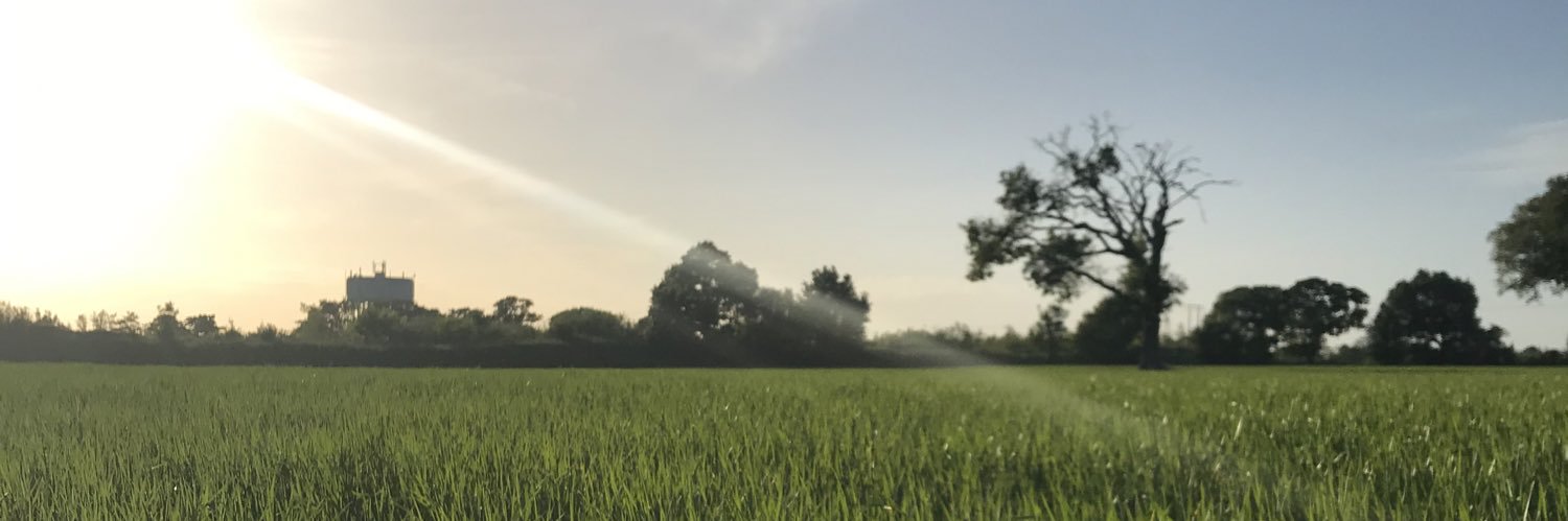 rlharland's profile banner image