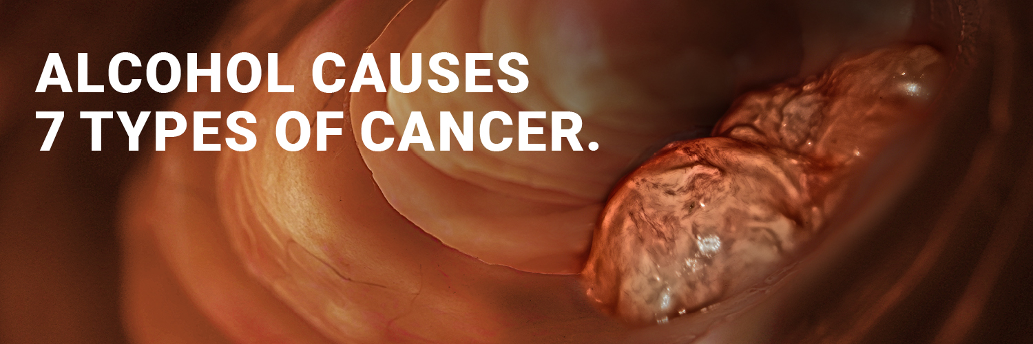 Balance North East banner