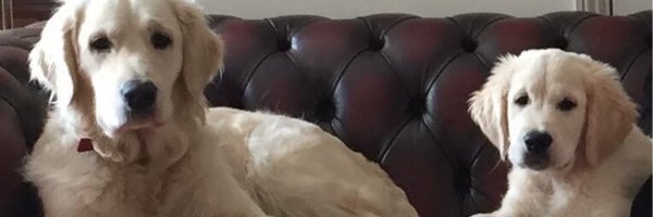 AMercouris Profile Banner