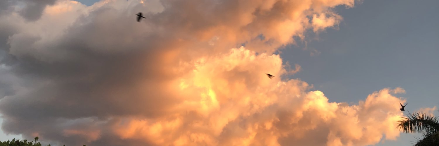 danieglezm's profile banner image