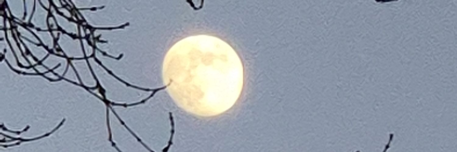 woahsteIIa's profile banner image