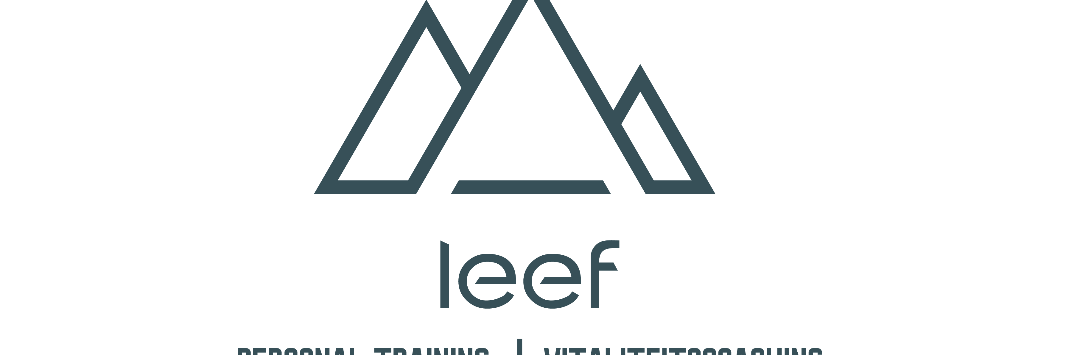 Erik Leeflang banner