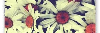 malcooke16's profile banner image
