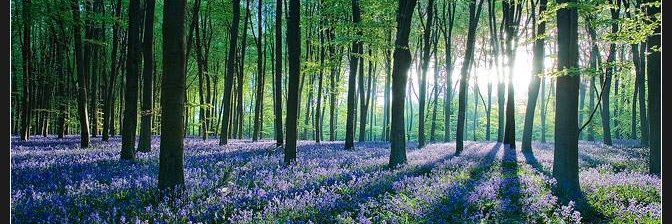 Robyn Meagher banner