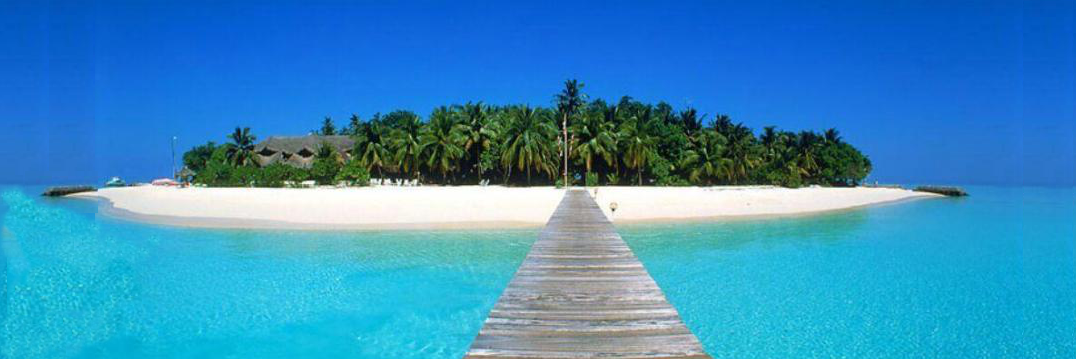 Capitalist Club banner