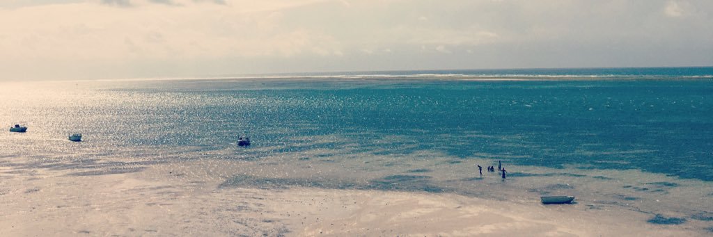 NoniieM's profile banner image