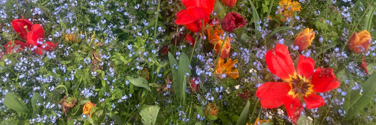 Hanneke Schmeets | Partij voor de Dieren banner