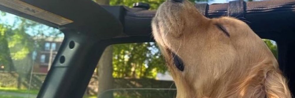 Jvsperrx's profile banner image