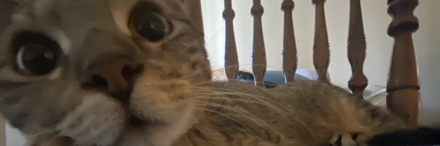 brendenschumann's profile banner image